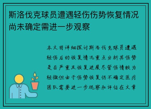 斯洛伐克球员遭遇轻伤伤势恢复情况尚未确定需进一步观察