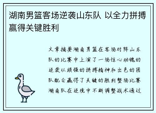 湖南男篮客场逆袭山东队 以全力拼搏赢得关键胜利